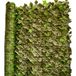 Buitengewoon de Boet Klimop op rol 200x500 cm Kunsthaag