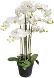 Oosterik Home Orchidee wit in pot H 110 cm kunstplant