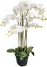 Oosterik Home Orchidee wit in pot H 110 cm kunstplant