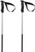 Volkl Phantastick III Skistokken Zilver 130 cm
