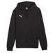 Puma Hoodie Teamgoal Casuals