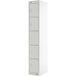 Rs Pro - Casier de stockage 5 portes porte en acier, 1 800 mm x 300 mm x 450 mm
