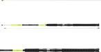 Daiwa Sealine Interline X'treme Canne à pêche emmanchable