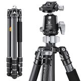 K&F Concept Camera Statief, 173cm Carbon Statief, Lichtgewicht Reflexstatief, Compact en Professioneel Fotografie Reisstatief met 360° Balhoofd en Loslaatplaat voor DSLR Camera Belasting 16kg.