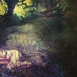 Coast2Coast Final - Apple Never Falls... (2 LP)