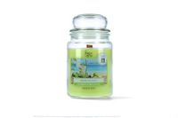Magic Lights - Kaars in glas 510 g Mojito met plantaardige was min. 75% - lont van natuurlijk hout dat knettert, gemaakt in Italië