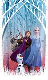 AG Design Frozen 2 gordijnen voor kinderkamer, 1-delig, meerkleurig, 140 x 245 cm