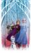 AG Design Frozen 2 gordijnen voor kinderkamer, 1-delig, meerkleurig, 140 x 245 cm