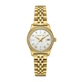 Cerruti 1881 Cerruti Datum horloge Cerruti Watch Baccio Dames Polshorloge Staal Goudkleurig Wit 28mm