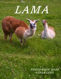 LAMA: Cool Pictures That Create An Idea For You About - Perfect Gift for tourism & travel lovers.....Relaxing & Meditation.