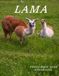 LAMA: Cool Pictures That Create An Idea For You About - Perfect Gift for tourism & travel lovers.....Relaxing & Meditation.