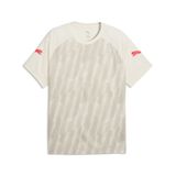 PUMA T-shirt de football individuel Ligga Graphic pour homme, Sedate Gray Ultra Red Sugared Almond Beige, XS