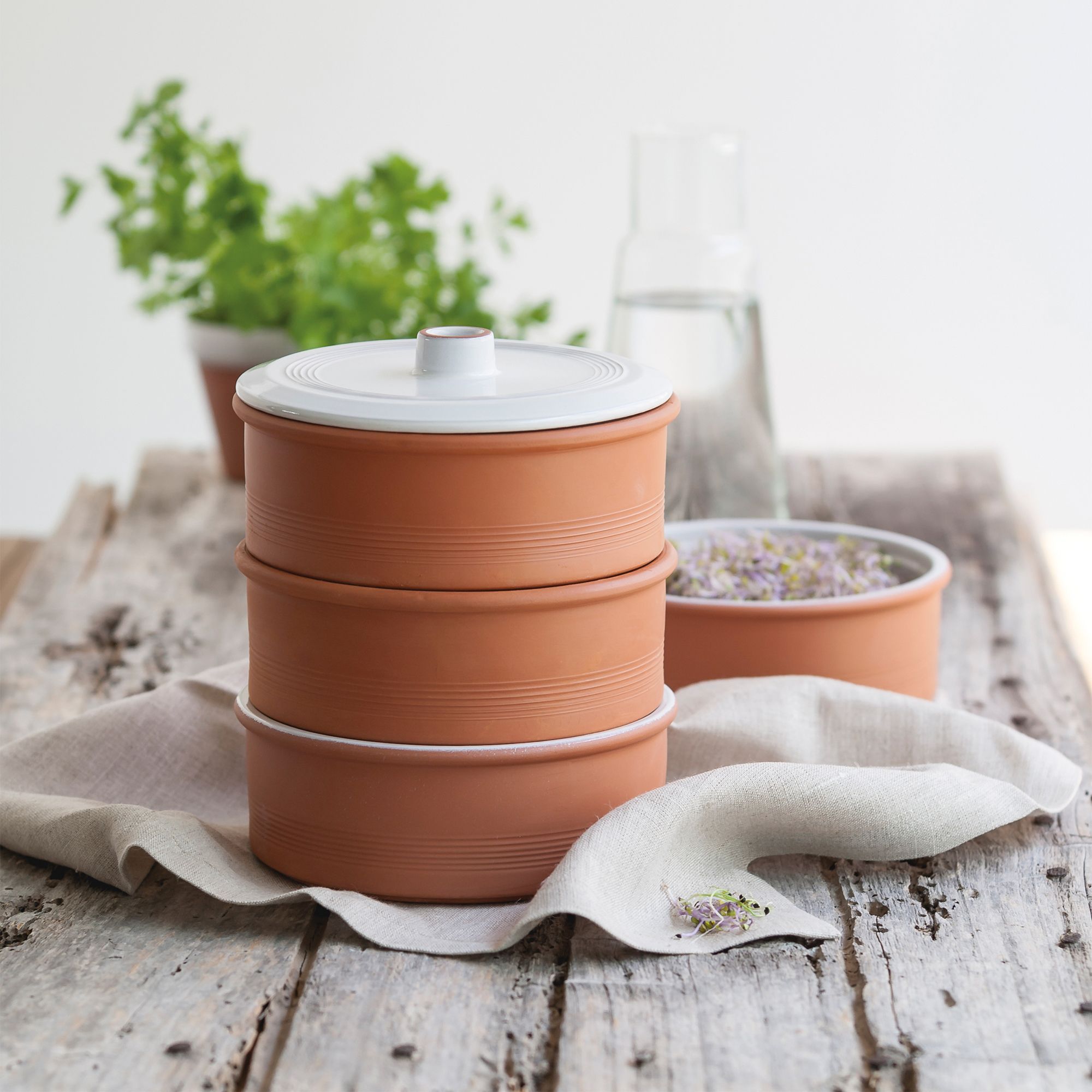 Point-Virgule Kweekbak - Terracotta Kiemtoren - 3 Schalen