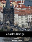 Charles Bridge: Gothic Bridge, Statues, Vltava River, Prague Views and More