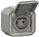 Stopcontact Legrand Stopcontact 2P+T LEGRAND waterdicht Plexo grijs 16A 250V ~ IP55 IK08 compleet voor opbouwbevestiging