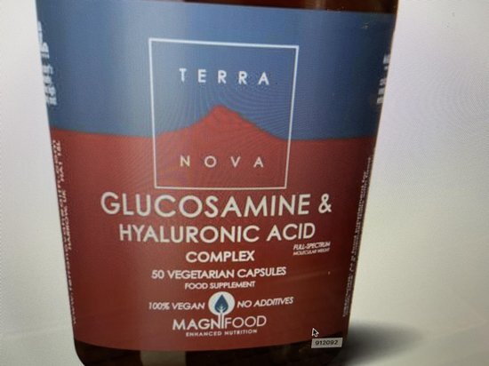 Terra Nova glucosam & hyaluronic acid cpl 100CA