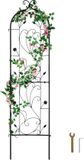 Merkloos 152.4 x 38.1 cm Tuintralis Voor Klimplanten
