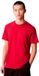 Calvin Klein T-shirt homme coupe droite en coton - Scooter - Taille M