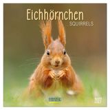 Korsch Verlag Eekhoorn Kalender 2027