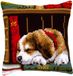 Vervaco Kruissteekkussen kit - Slapende hond in boekenrek - 40 x 40 cm