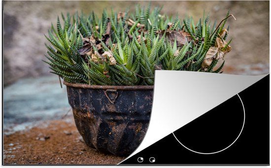 KitchenYeah® Inductie beschermer 77x51 cm - Zebracactus - Inductiebeschermer