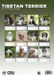 CalendarsRUs Tibetaanse Terrier A3 Kalender 2027