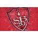 Brestois 29 Papier Peint Panoramique Foot / Football - Sb 29 - Stade Brestois 29 - 195 cm X 122 cm