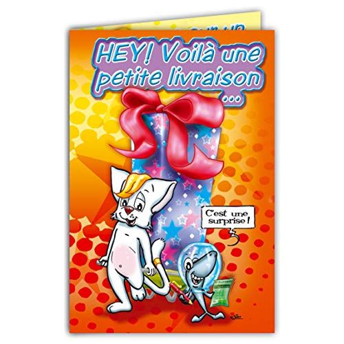 Maxicha-001 Maxi Grote kaart Joyeux verjaardag grappig kat