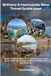 Brittany & Normandy Slow Travel Guide 2026