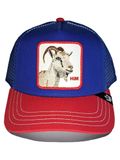 GOORIN Bros. Pet 'Gorra goorin bros royal cabra him goat rucker cap' royal blue/koningsblauw