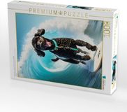 Calvendo 4066851215969 Legpuzzel 1000 stukjes Kunst en Religie 640 cm 480 cm 14 jaar