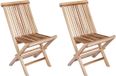 vidaXL Tuinstoel, inklapbaar, 2 stuks, naturel, massief teakhout