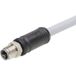 Molex 1205000317 Connecteur capteur/actionneur, assemblé M12 Nombre de pôles (capteurs) : 5 Connecteur mâle, droit 5 m 1 pièce(s) Sac