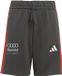 adidas Performance AUDI REVOLUT F1 TEAM DNA SHORT - Kinderen - Zwart