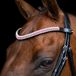 Imperial Riding Hoofdband IRH Beads