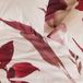 Cinderella Dekbedovertrek Koester - Rood - 260x220
