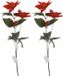 Merkloos / Sans marque Koopman International 2x Rode Kerstster bloem 66 cm