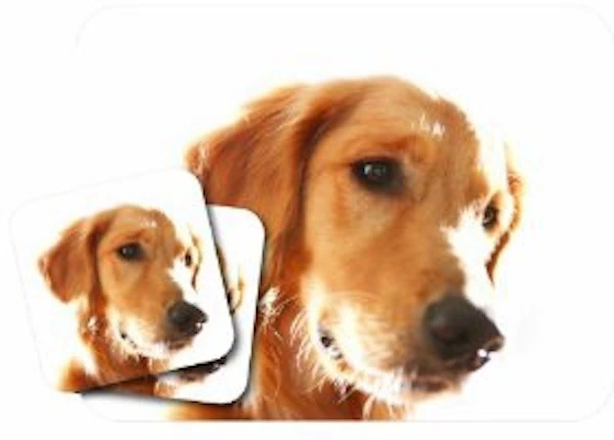 Little Gifts Muismat + 2 onderzetters Golden Retreiver mousepad & coasters set (2