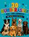 Mein großes Hunde-Mal- und Lernbuch