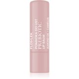 Flos Lek Laboratorium Prebiotic Lip Care 4 G
