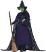 Mattel Wicked Elphaba pop met gevlochten haar en meerdere poses