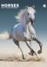 CalendarsRUs Paarden A3 Kalender 2027 Wandkalender