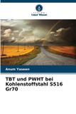 TBT Verlag Unser Wissen TBT und PWHT bei Kohlenstoffstahl S516 Gr70