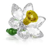 Swarovski Florere Narcis