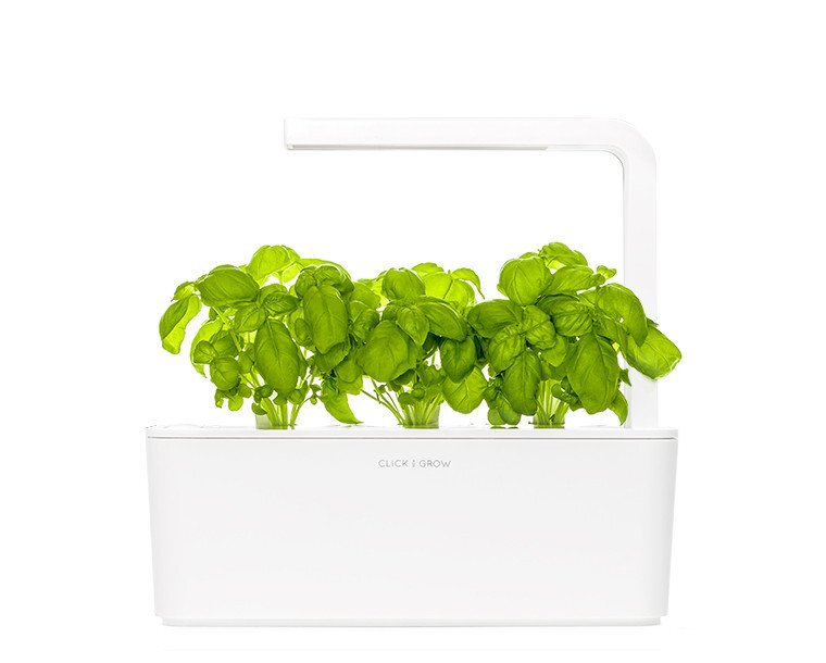 Click and Grow Basil Refill (3-pack)
