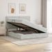 Maison Exclusive - Lit avec rangement et matelas gris clair 160 x 200 cm velours