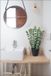 Unyqoos Plante artificielle eucalyptus décorative dans pot noir, 40 cm