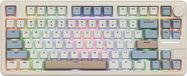 EPOMAKER Galaxy 70 - Gris - Clavier Mécanique Sans fil - RGB - 70% - QWERTY
