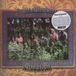 Zindabad Prints Of Darkness Zanidabad (LP)