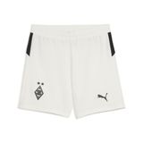 PUMA Borussia Mönchengladbach 25/26 sokken, Zwart/Wit, Maat 11-12Y